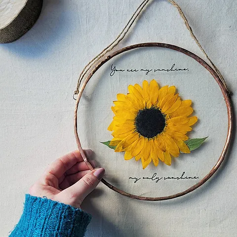 You Are My Sunshine Real Pressed Sunflower Glass Floating Frame